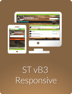 boxes vb3 responsive 250x324 - ST vb3 Responsive